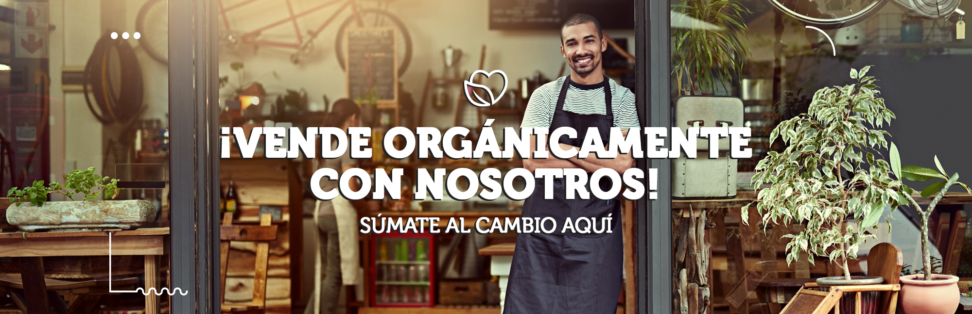 Novedades